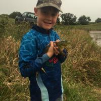 Frogs and fishing!