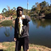 bass 4