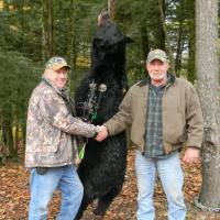 New Hampshire Hunt