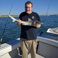 Jason's Shark