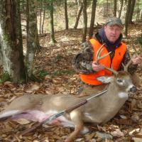 NH Whitetail Deer
