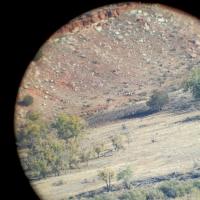 Scouting the land 1
