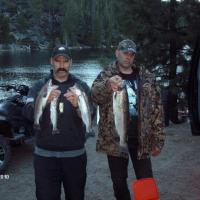 Rainbow Trout