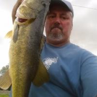 Bass