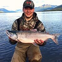 Coho Salmon