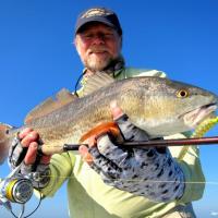 grassettred Redfish