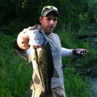 Bass