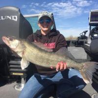 A Nice Walleye