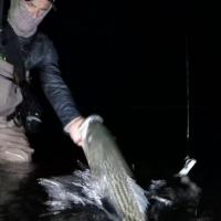Night Fishing