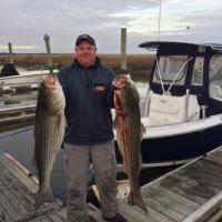Big Stripers