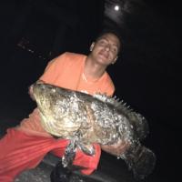 45+lbs Goliath Grouper