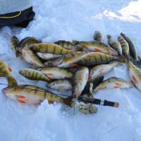 Devils Lake North Dakota Ice Fishing