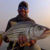 7 lbs Zambezi Tigerfish on a 7wt.