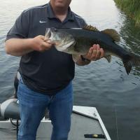 8 lb Bass caught March 2016