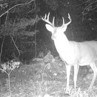 Eight Point