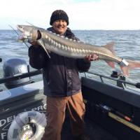 Another big saltwater fish