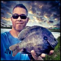 Big bluegill action!