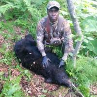 Hunting Bear