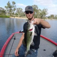 bass 2