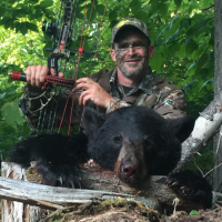 Black Bear