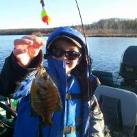 Early Spring Blue Gills