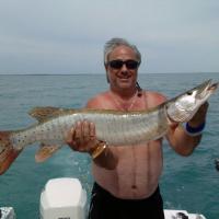 Muskie