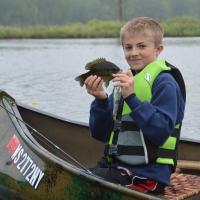Blue Gills in The Canoe