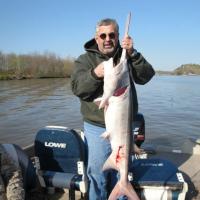 paddlefish