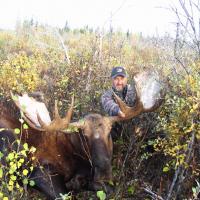 Moose