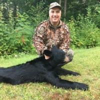 New Hampshire Bear