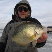 Late Ice Crappie