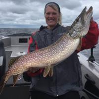 Nice Lake Of The Woods Pike