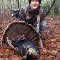 Nice Gobbler
