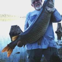 New World Record Tiger Muskie