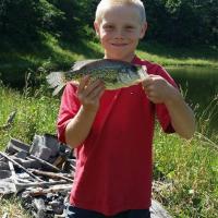 Bassin it