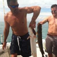 Muskie