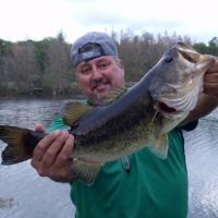 Bass