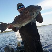 Black Drum, Ochlockonee Bay