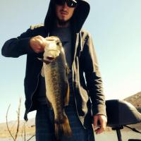 bass 3