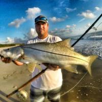 Snook on a Fly