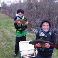Spring Sucker Run