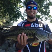 Largemouth bass - Nice