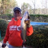 Catfish