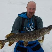 Ice'd Northern Pike