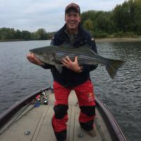 Striper from the Saint John River