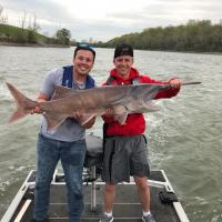 Paddlefish