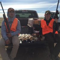 A Good Day Pheasant Hunting