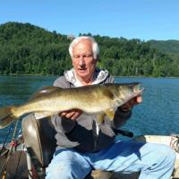 Watauga Lake Walleye