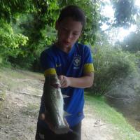 Bass Fishing