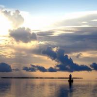 flamingodawnsilhouette Florida Fishing